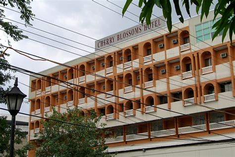 cherry blossom hotel manila|blooming cherry trees.